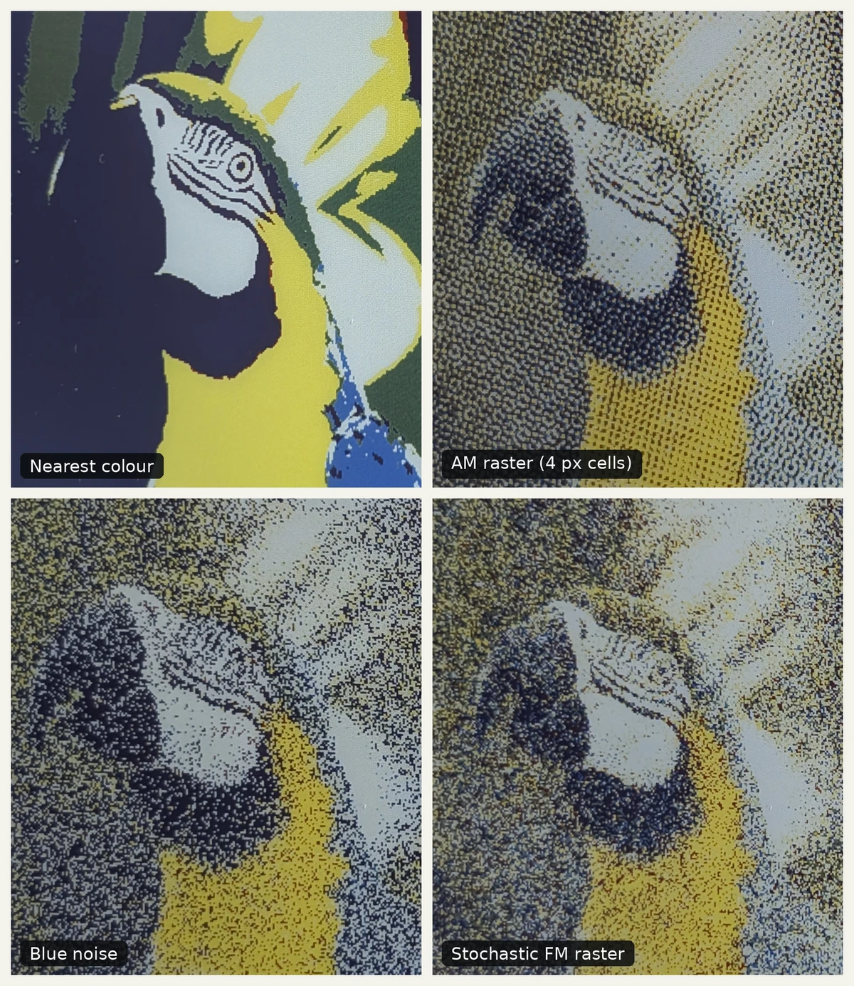 Close-up comparison of the yellow parrot using the coarse and noisy techniques