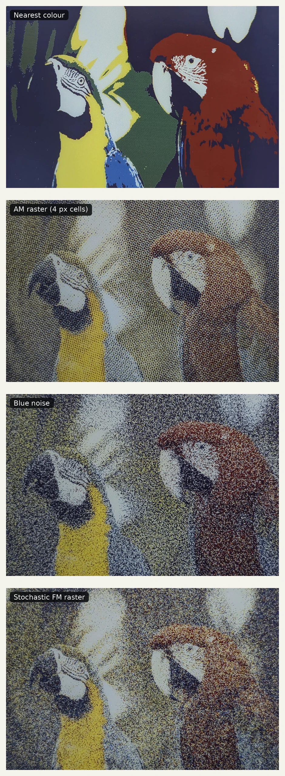 Full Kodak parrot results using nearest colour, AM raster, blue noise, and stochastic FM raster