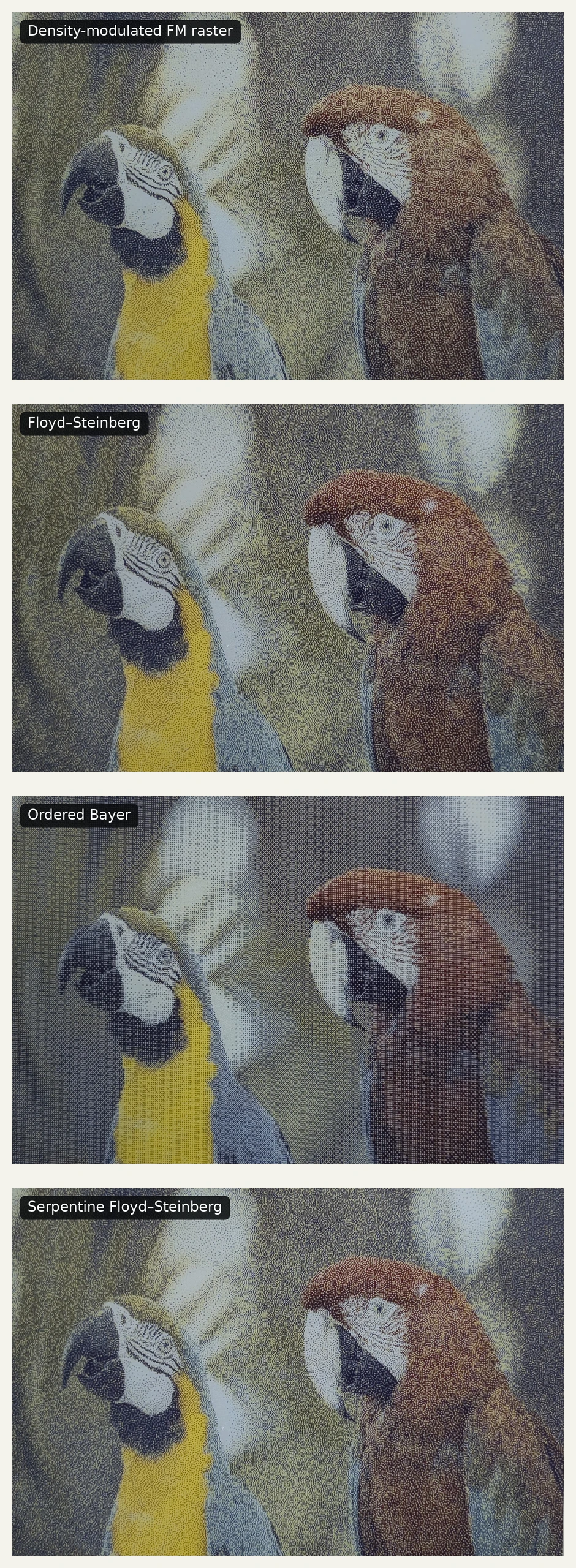 Full Kodak parrot results using density-modulated FM, Floyd-Steinberg, Ordered Bayer, and serpentine Floyd-Steinberg
